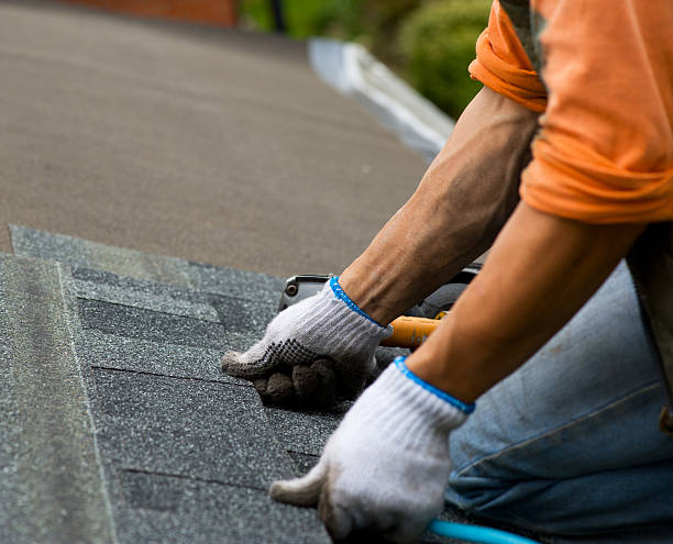 Best Storm Damage Roof Repair  in Decatur, IN